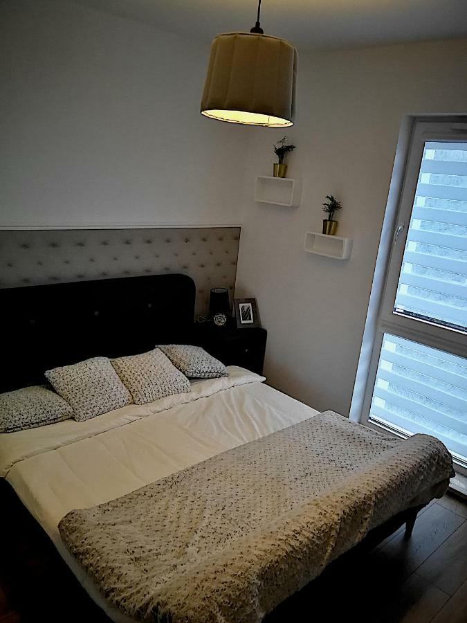 Nova Apartments - Rakowicka Krakkó Kültér fotó