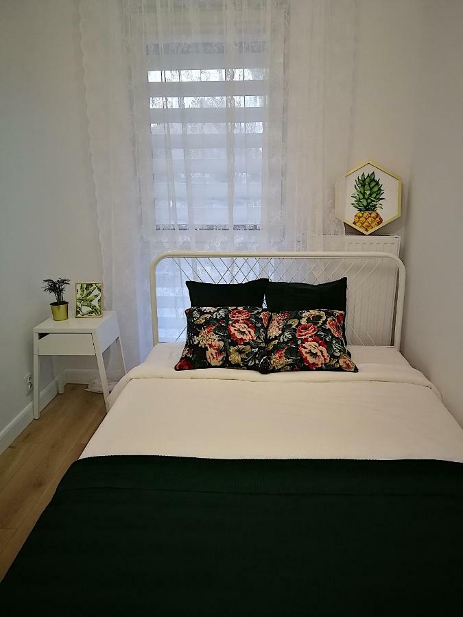 Nova Apartments - Rakowicka Krakkó Kültér fotó