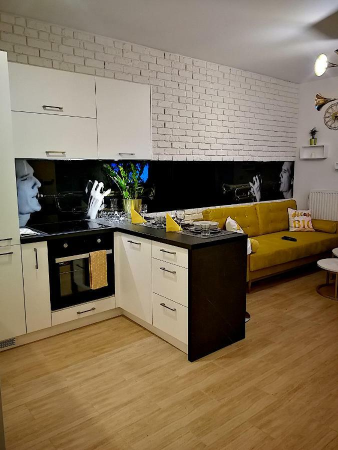 Nova Apartments - Rakowicka Krakkó Kültér fotó