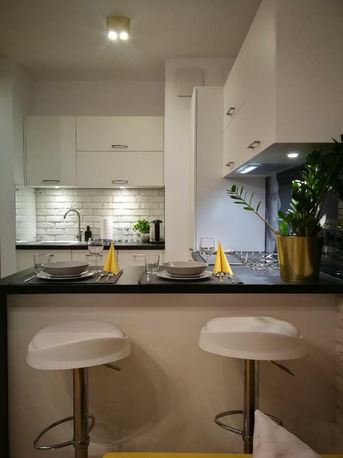 Nova Apartments - Rakowicka Krakkó Kültér fotó