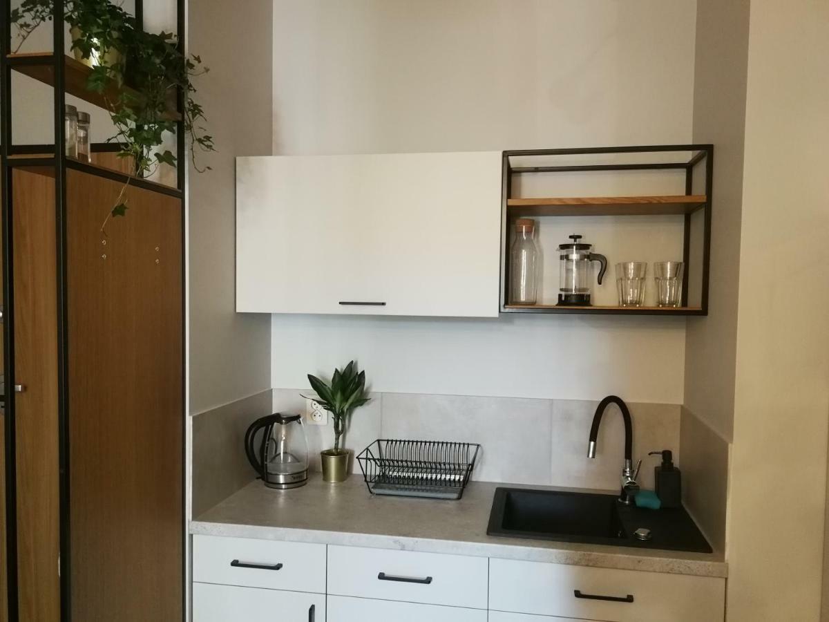 Nova Apartments - Rakowicka Krakkó Kültér fotó