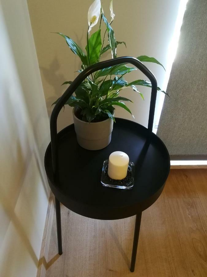 Nova Apartments - Rakowicka Krakkó Kültér fotó