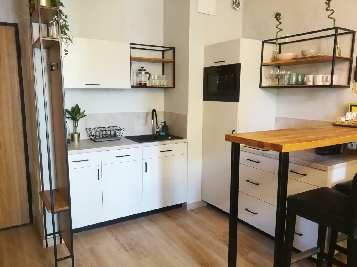 Nova Apartments - Rakowicka Krakkó Kültér fotó