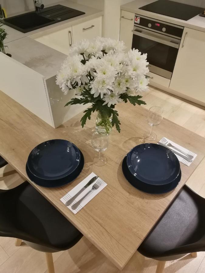 Nova Apartments - Rakowicka Krakkó Kültér fotó